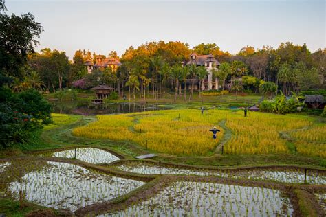 Four Seasons Chiang Mai Luxurious Resort In Northern Thailand — No Destinations