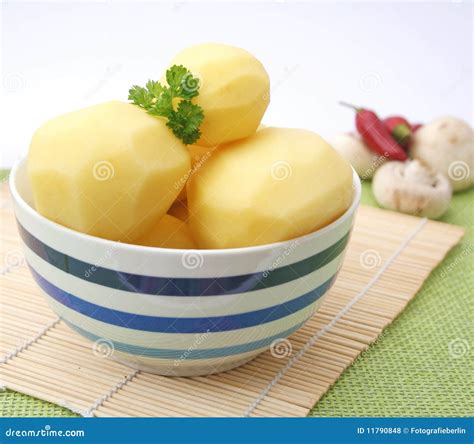 Fresh Potatoes Stock Photo Image Of Uncooked Vegetables 11790848