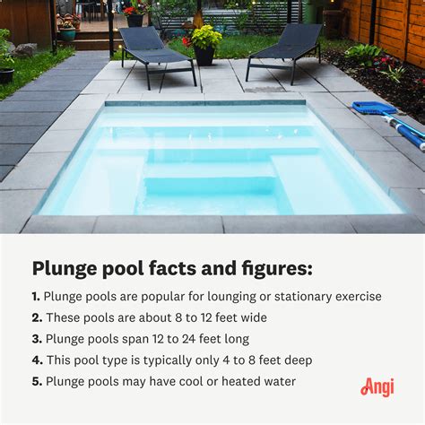What Is A Plunge Pool Pros Cons And More