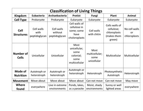 7 Animal Kingdom Classification Worksheet