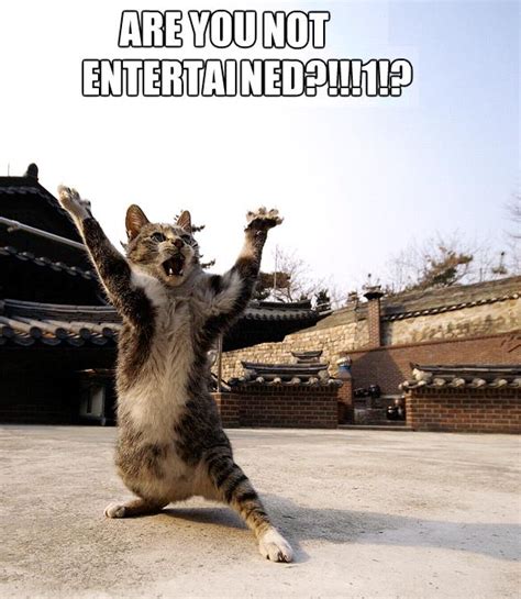 Of course you is everywhere i walk, distortion is but are you not entertained, of course you is. Image - 219420 | Are You Not Entertained? | Know Your Meme