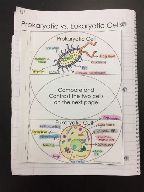 Eukaryotic organisms are those organisms which have true nucleus with nuclear and nucleolus and also contain all membrane bound cell organelles. Prokaryotic and Eukaryotic Cells Lesson 10/26/16 - Biology ...