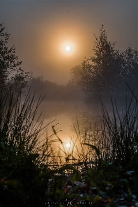 How To Photograph Foggy Landscapes Focus On The Details Learn
