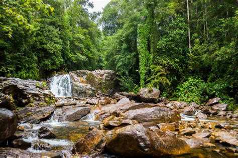 Sinharaja Rain Forest Premier Lanka Voyages