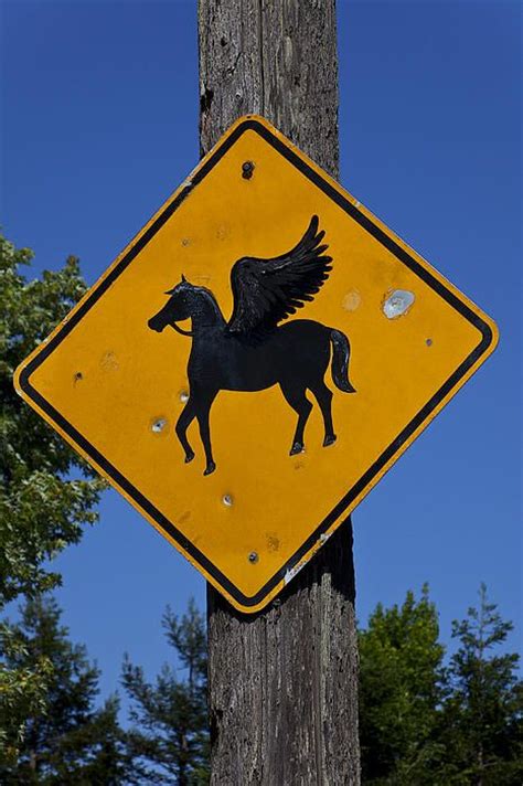 57 Unusual Road Signs Ideas Road Signs Signs Funny Signs