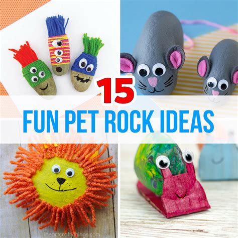 15 Fun Pet Rock Ideas The Best Ideas For Kids