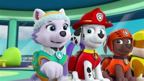 Pin By Purple Hayes On Paw Patrol Paw Patrol Marshall Paw Patrol