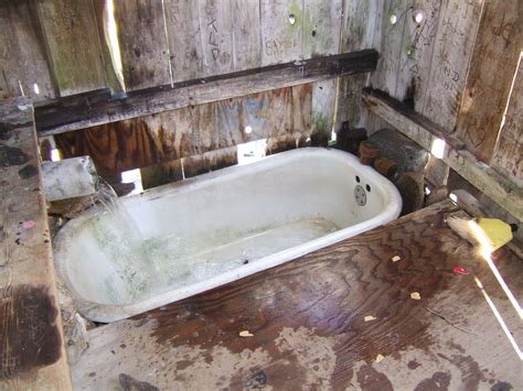 Vintage clawfoot tubs are to old houses as lemonade is to summer. There is an old bathtub in the shed you can use. The water ...