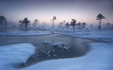 Nature Landscape Winter Trees Sunrise River Snow Frost Estonia Mist