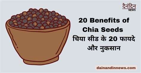 20 Benefits Of Chia Seeds चिया सीड के 20 फायदे और नुकसान Dainandinnews