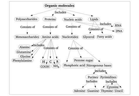 Organic Molecules Concept Map Sportcarima