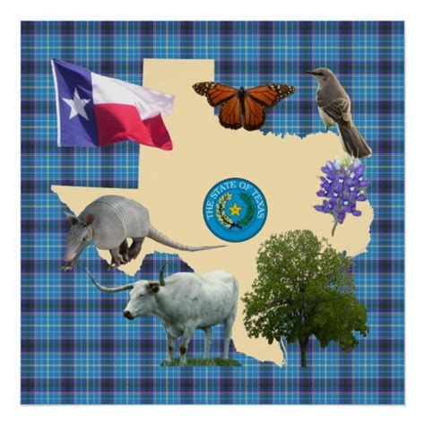Texas State Symbols Poster