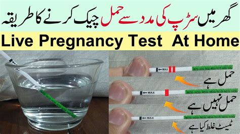 You will be offered a vaginal examination to assess the cervix (strip and stretch) 41 weeks (post dates clinic) visit done in day assessment unit. Live Pregnancy Test At Home How To Use Pregnancy Test Strip Hamak Ka Test - YouTube