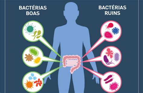 Exame De Sequenciamento Da Microbiota Intestinal