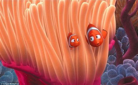 Found Nemo Stunning Photographs Capture Indonesias Clownfish Daily