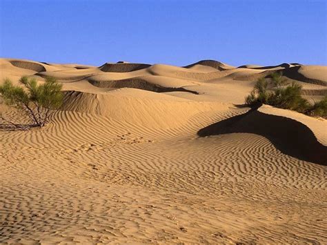 Amazing Desert Landscapes Taste Full Tours