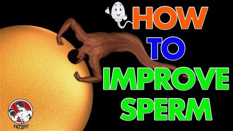 How To Increase Sperm Count Quality Morphology Vitality Nuts