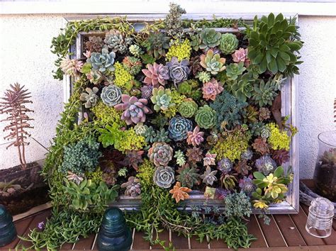 Indoor Vertical Garden Ideas Benefits And Things To Keep In Mind