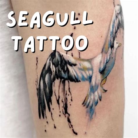 Flying Seagull Tattoo Ideas And Their Meaning Tattooglee Feather Tattoo