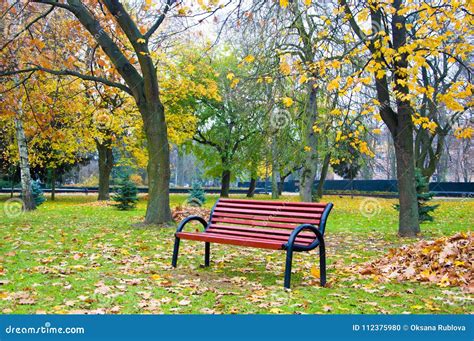 Wooden Bench In An Autumn Park Stock Photo Image Of Wooden Autumn