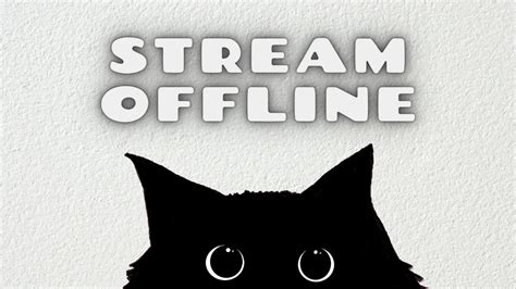 Twitch Offline Screen Black Cat Cute Cat Twitch Background Etsy