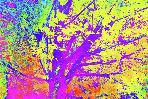 Trees Fall Colors 58 Digital Art By Chris Taggart Pixels