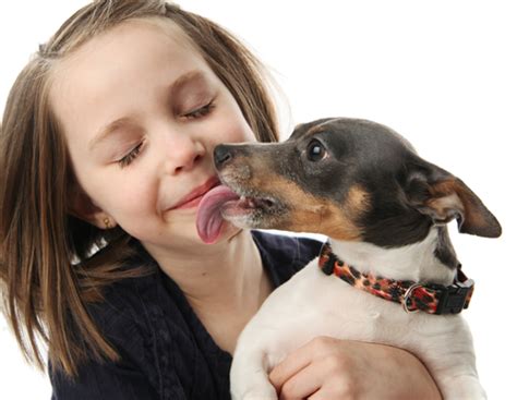 Piuttosto come sinonimo di alquanto va fatta una precisazione a proposito di piuttosto che! Farsi leccare dal cane è bello e non fa male | Quattro Zampe