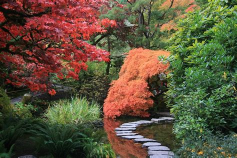 Japanese Garden Path Trees · Free Photo On Pixabay