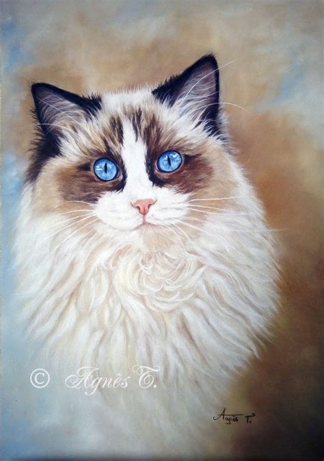Gouache Cat Paintings Ragdoll Cats Watercolor Cat Color Art Cat