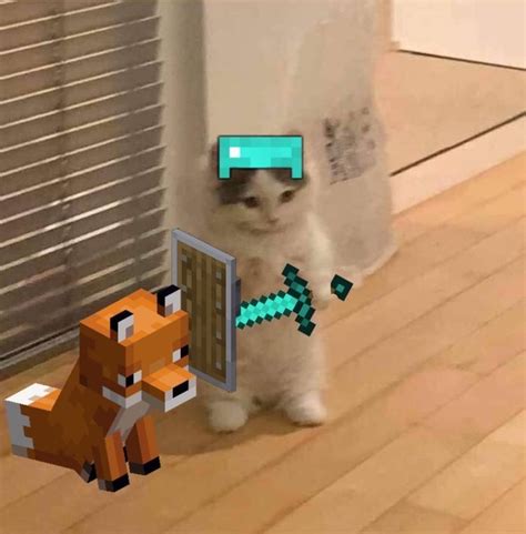 View 22 Cat Meme Pfp Minecraft Steelcomplesz