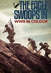 Watch The Eagle Swoops In: WWII in Colour (2022) - Free Movies | Tubi
