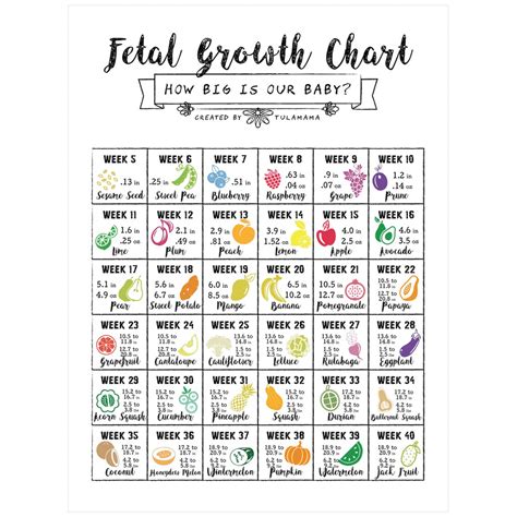 Pregnant Belly Chart