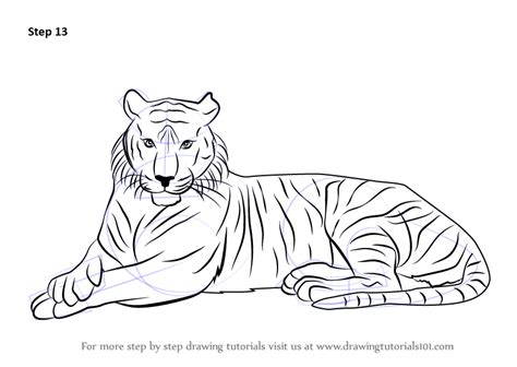 How To Draw A Bengal Tiger Wild Animals Step By Step