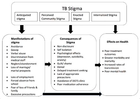 Conceptual Framework Of The Dimensions Of Stigma Its Manifestations