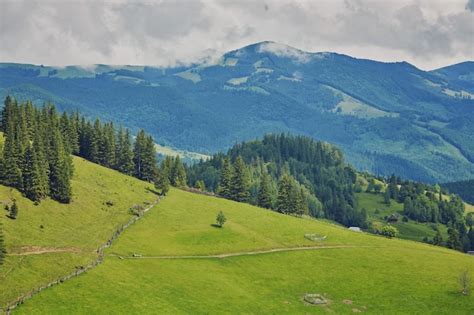 Premium Photo Mountainous Landscape With Forested Hills Beautiful Summer