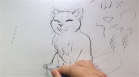 Como Desenhar Um Gato Passo A Passo Tutorial Completo