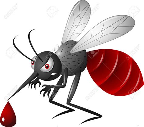 Angry Cartoon Mosquito Royalty Free Cliparts Vectors And Stock