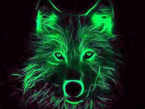 Wallpapers Wolf Green Wolf Wallpaperspro