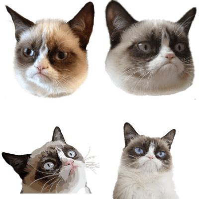 Discover 126 free cat meme png images with transparent backgrounds. Download Png Memes | PNG & GIF BASE