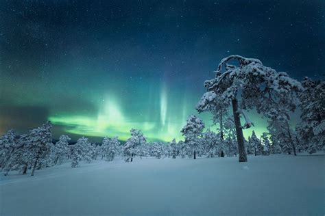 Excursiones En La Laponia Finlandesa Para Disfrutar De La Nieve