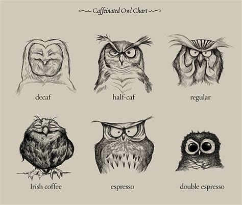 Caffeinated Owls A Chart Illustrating Different Types Of Coffee With