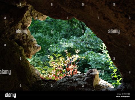 Cave Walls Hi Res Stock Photography And Images Alamy