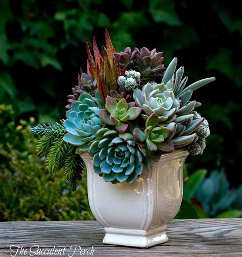 Tips On How To Arrange Flowers Like A Pro Succulents