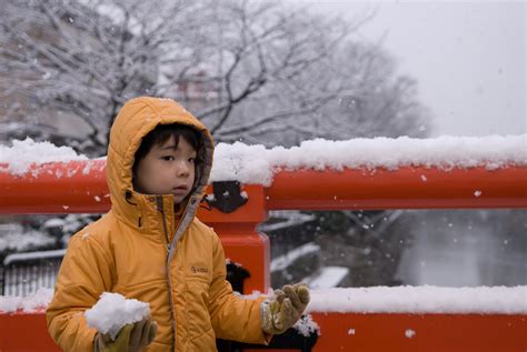 Jeffrey Friedls Blog Kyoto Winter Preview Sort Of