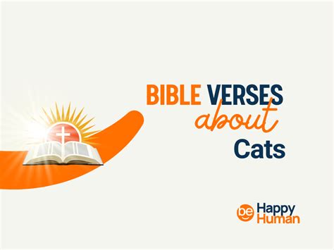 60 Bible Verses About Cats Behappyhuman