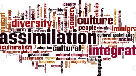 What Is Assimilation Acculturation And Enculturation Public Health