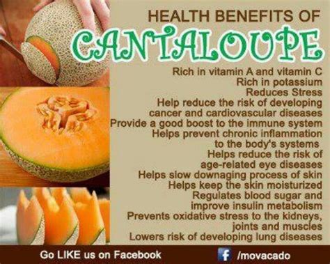 Healthy And Fit 2014 Watermelon Nutrition Facts Cantaloupe Benefits