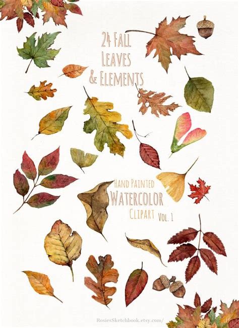 Watercolor Autumn Leaves Clipart Fall Leaf Hand Painted Clip Art