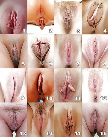 What S Your Favorite Type Of Pussy Pics XHamster Com