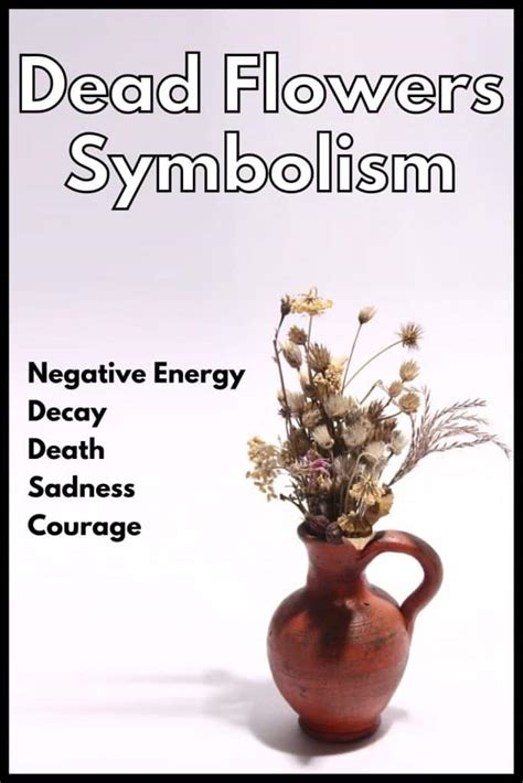 Dead Flowers Meaning And Symbolism Decay Negative Energy 2023